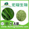 Manufacturer Supply Young Barley Grass P.E/Barley Grass Juice Powder